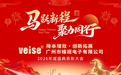 马跃新程 &middot; 聚力同行 - 广州市维视电子有限公司2026年度盛典大会